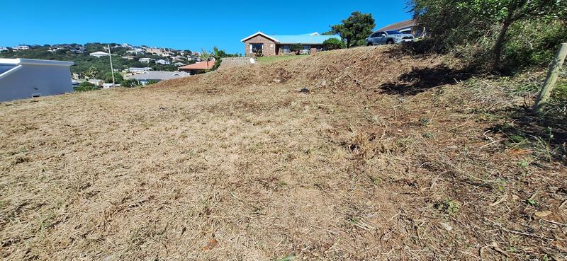 0 Bedroom Property for Sale in Groot Brakrivier Central Western Cape